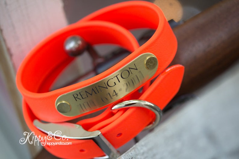 Pode incluir: Uma coleira de cachorro laranja brilhante com uma fivela prateada e uma etiqueta gravada em ouro que diz "REMINGTON (111) 614-2111".