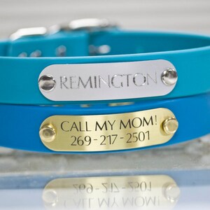 May include: Two dog collars with engraved metal tags. The top collar is turquoise blue with a silver tag that reads "REMINGTON". The bottom collar is a darker blue with a gold tag that reads "CALL MY MOM! 269-217-2501".