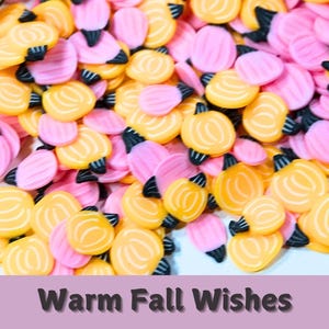 Pink & Orange Fall Pumpkins Polymer Clay Slices for Crafts, Resin, Tumblers, Charm Fillers, Slime, Decoden, Nail Art, Decorations and More