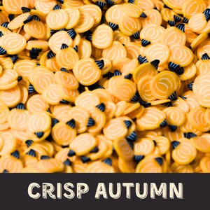 Craft Fall Pumpkins Polymer Clay Slices for Crafts, Resin, Tumblers, Charm Fillers, Slime, Decoden, Nail Art, Decorations & More