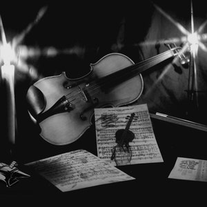 Violin Music Still Life Photo