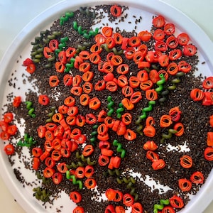 May include: A white tray filled with a colourful assortment of materials. The tray contains red, orange, and green pasta shapes, along with small, dark brown seeds. The arrangement creates a visually appealing and textured display.