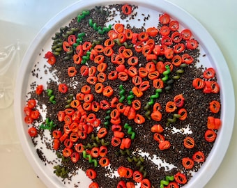 Pumpkin Patch Sensory Bin Filler – Fall Pasta Rice Mix