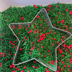 May include: A clear, star-shaped cookie cutter rests on a bed of green, needle-like material dotted with small red spheres. The scene evokes a festive, holiday theme, suggesting a sensory play activity or a Christmas-themed craft project.