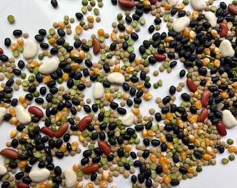 Farm Sensory Bin Filler |  Bean Sensory Mix | Farm Theme Sensory Play | Montessori Inspired Sensory Base | Preschool Activity | 3 Cups