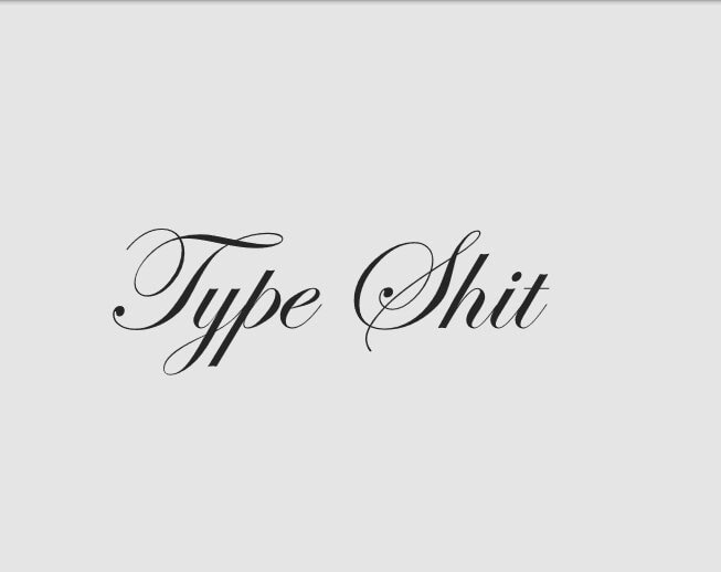 Type Shit Vinyl Decal - Window Toolbox Helmet Hardhat Motorcycle Decals