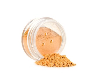 Hide  & Heal Mineral Concealer Powder - Medium