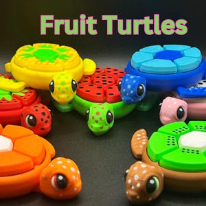 May include: A set of six colorful fruit-themed turtle toys. Each turtle has a different fruit design on its shell, including pineapple, strawberry, watermelon, blueberry, kiwi, and a plain white shell. The turtles have large, black eyes and are made of a soft, pliable material.