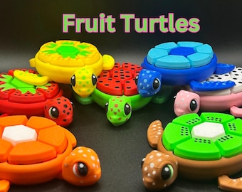 Fidget Clicker Turtle: 3D Printed Sensory Toy for Stress Relief