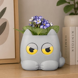 Könnte beinhalten: Ein grauer, katzenförmiger Blumentopf mit gelben Augen und einem mürrischen Gesichtsausdruck, der eine Pflanze mit lila und weißen Blüten enthält. Der Topf steht auf einem Holzregal, mit Büchern und Kunstwerken im Hintergrund.