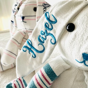 May include: Two plush bunny rabbits. One is white with blue embroidered text that reads "Hazel" on the ear. The other bunny is white with pink and blue stripes. Both have black button eyes and blue accents.