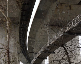 Bridge to Belle Isle under the Overpass, Richmond, Virginia: Photograph Various Sizes