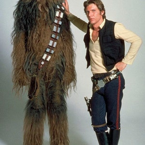 Star Wars Chewbacca Fur.15cm image 4