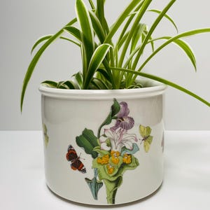 PORTMEIRION Der Botanische Garten Pflanztopf made in 1972 | Gelb lila Blumen Übertopf mit Schmetterlingen | England | Von Susan Williams Ellis