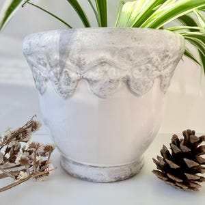 Puede incluir: Una maceta de cerámica blanca con un borde festoneado y lavado en gris. La maceta tiene forma redondeada y se asienta sobre una pequeña base. Se ven hojas de plantas a rayas verdes y blancas. Una piña y flores secas están en primer plano.