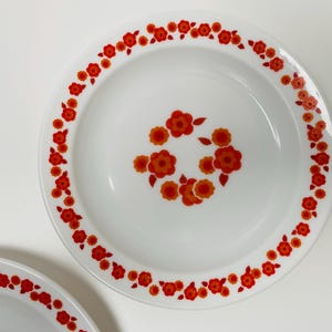 Vintage Arcopal Lotus Plates (Set of 2): 1970s French Floral Glass