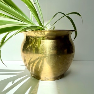 以下が含まれることがあります： 緑と白の縞模様のクモ植物が入った、幅広の縁が付いた金色の丸い真鍮のプランター。 プランターは光を反射し、白い表面に影を作り出しています。