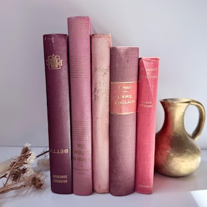 May include: A collection of five vintage books with spines in varying shades of pink, magenta, and burgundy, standing upright next to a small, rounded brass pitcher and a cluster of dried, light-colored botanical stems with textured seed heads.