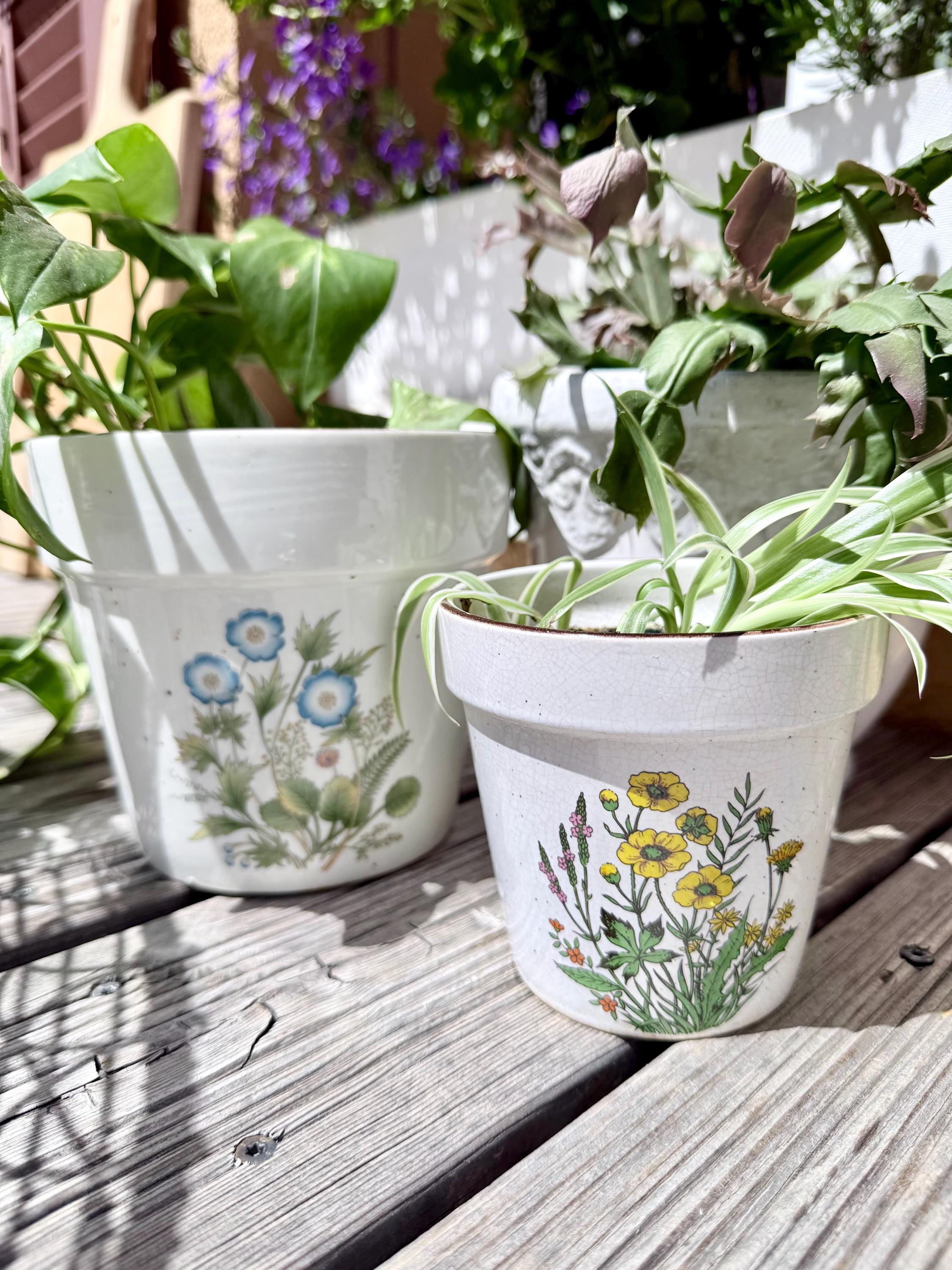 アンティーク　バターポット Vintage Japanese Stoneware Plant Pot: Yellow Buttercup Floral