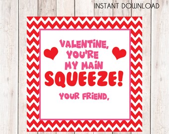 Applesauce Valentine Tags, Main Squeeze Tags - Digital File of 12 2 inch Square Stickers or Tags