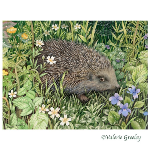 Hedgehog with wild flowers print