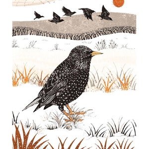 Starlings blank greeting card image 1