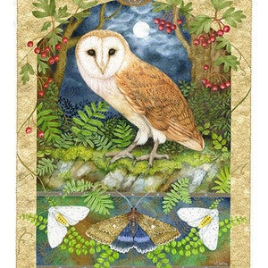 Moths and Moonshine print by Valerie Greeley