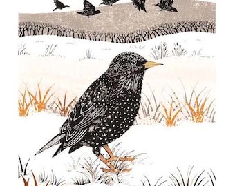 Starlings in winter