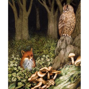 Brown Owl and Fox in forest print.