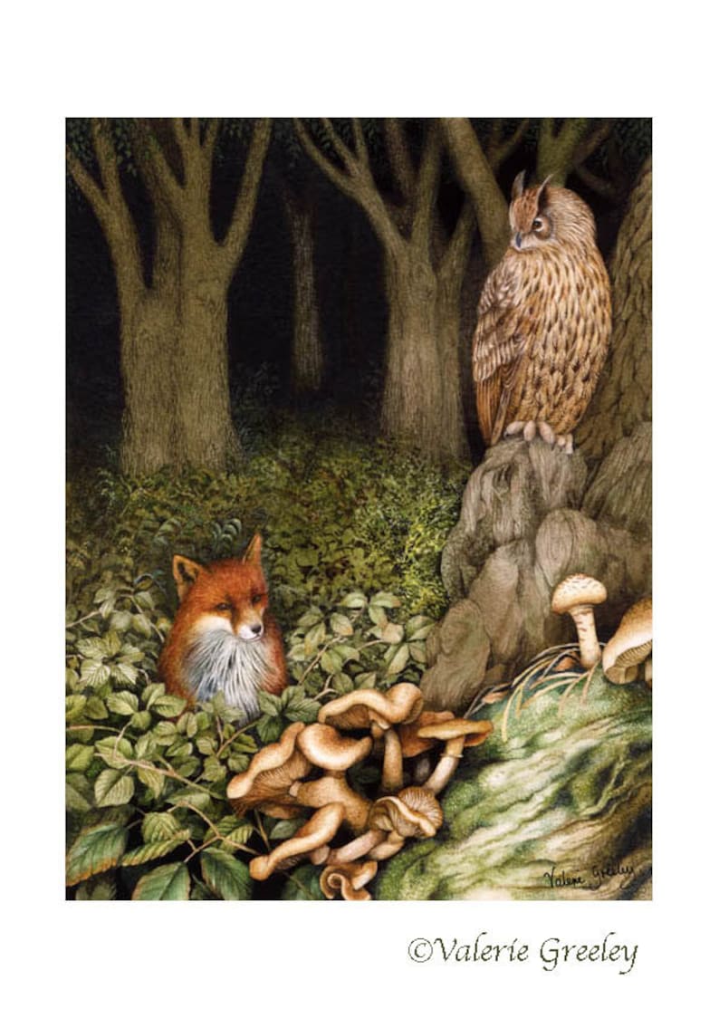 Brown Owl and Fox in forest print. image 1