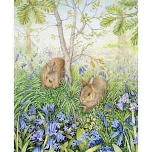 Bluebell Wood print by Valerie Greeley