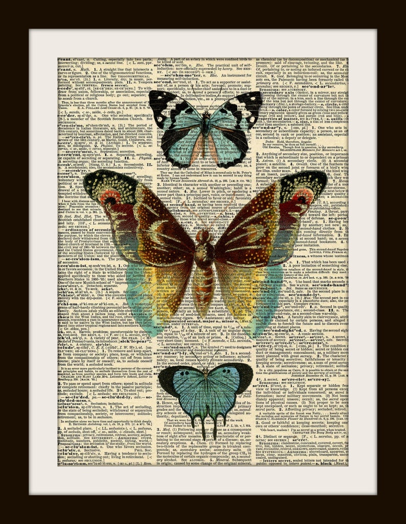 Light Blue Butterfly Dictionary Art Print 8x10 vintage insect Etsy