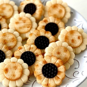 Pessach Marzipan Matzah Gänseblümchen & Sonnenblumen - Leckerbissen für Pessach Seder!  Das köstlichste und hübsche Pesach-Gastgeschenk!