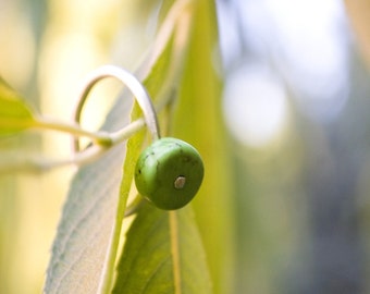 The Grass is Always Greener... howlite stone (made to order)- ring