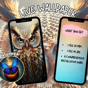 Majestic Owl Live Wallpaper IOS Animated Background Wallpaper Android Live Wallpaper Aesthetic