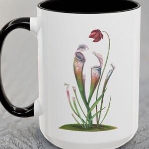 Purpurrote Krugpflanze Becher, fleischfressende Pflanze Geschenk, botanische Kunst, einheimische Blume, Golfküste