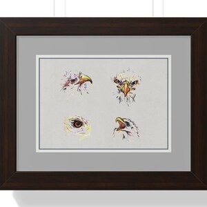 Bald Eagle sketches Framed Print, Gift for Bird of Prey Lover | Haliaeetus leucocephalus