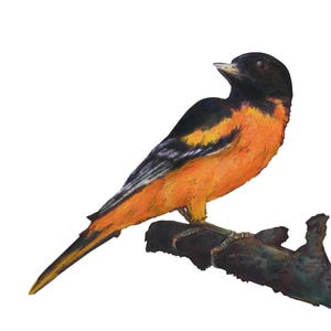 Baltimore Oriole Framed Print, Wall Decor, Bird Lover Gift, Bird Watercolor Framed Vertical Poster, Nature Home Decor | Icterus galbula