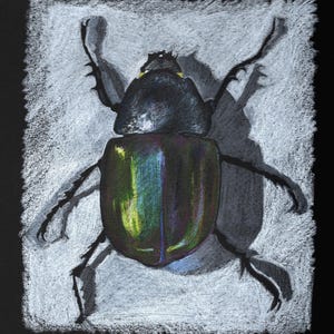 Hercules Beetle Framed Print, Pastel, Bug Lover Gift, Entomology, Scarab Beetle, Rain Forest, Science Art | Dynastes hercules