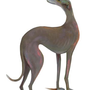 Italian Greyhound, Pastel, Framed Print