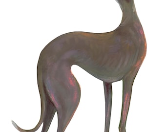 Italian Greyhound, Pastel, Framed Print