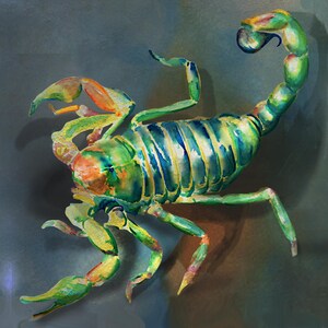 Scorpion Watercolor Framed Print, Western Decor, Gift for Scorpion Lover, Framed Poster | Scorpiones