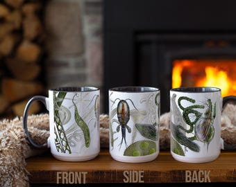 Macroscopic Aquatic Species Mug (Paramecium, Euglena, Diatom, etc.)