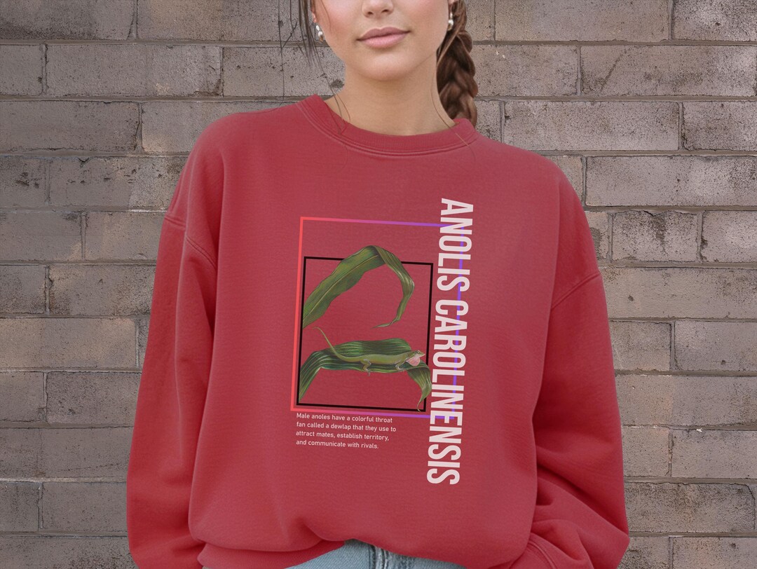 Felpa con illustrazione di lucertola, regalo con definizione di