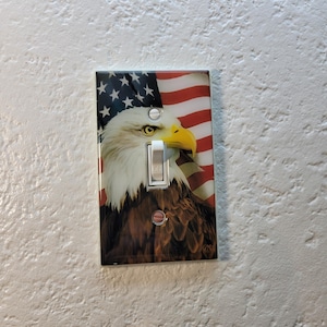 May include: A light switch cover with a printed image of a bald eagle with its head turned to the right, looking at the viewer. The eagle is in front of an American flag with red and white stripes and blue stars.