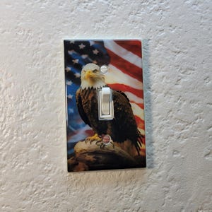 Puede incluir: Una tapa de interruptor de luz con una imagen impresa de un águila calva posada en una rama frente a una bandera estadounidense.