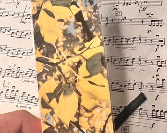 Marcador de hojas soleadas