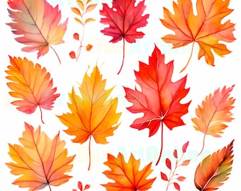 水彩画風秋の葉のクリップアートセット（デジタルダウンロード）