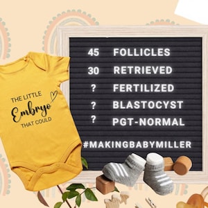 IVF Pregnancy Announcement Digital IVF Baby Announcement Digital For Social Media Reveal Instagram Pregnancy Reveal Editable Template DIY