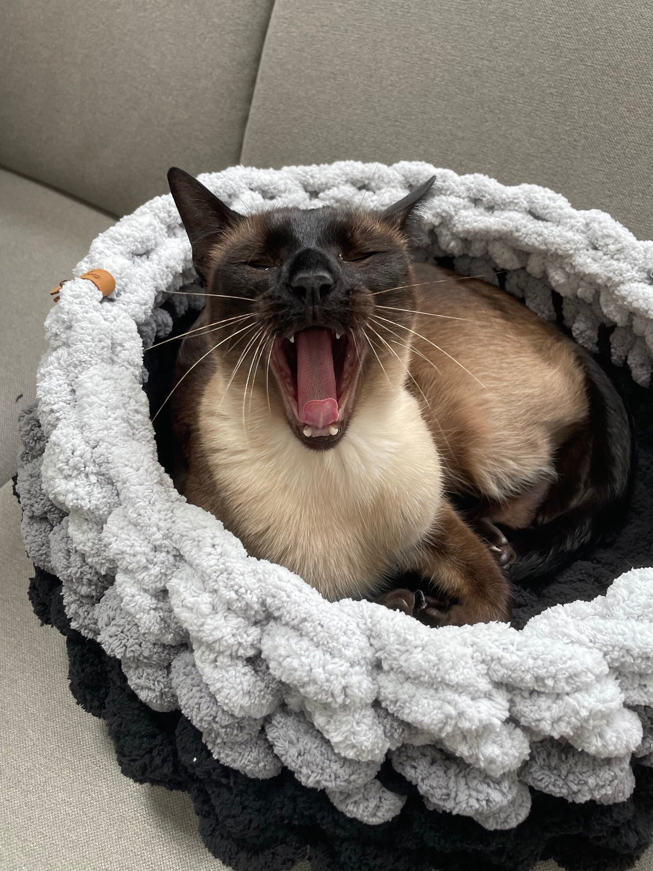 Cat Bed Chunky Knit Cat Bed Three Color Cat Bed Black and Grey Cat Bed